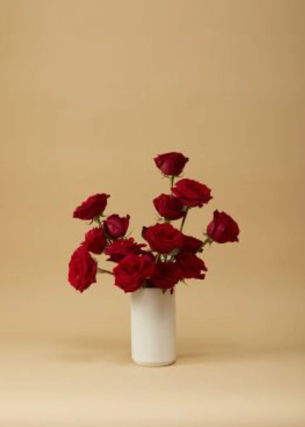 Classic Cream Vase - Image 4