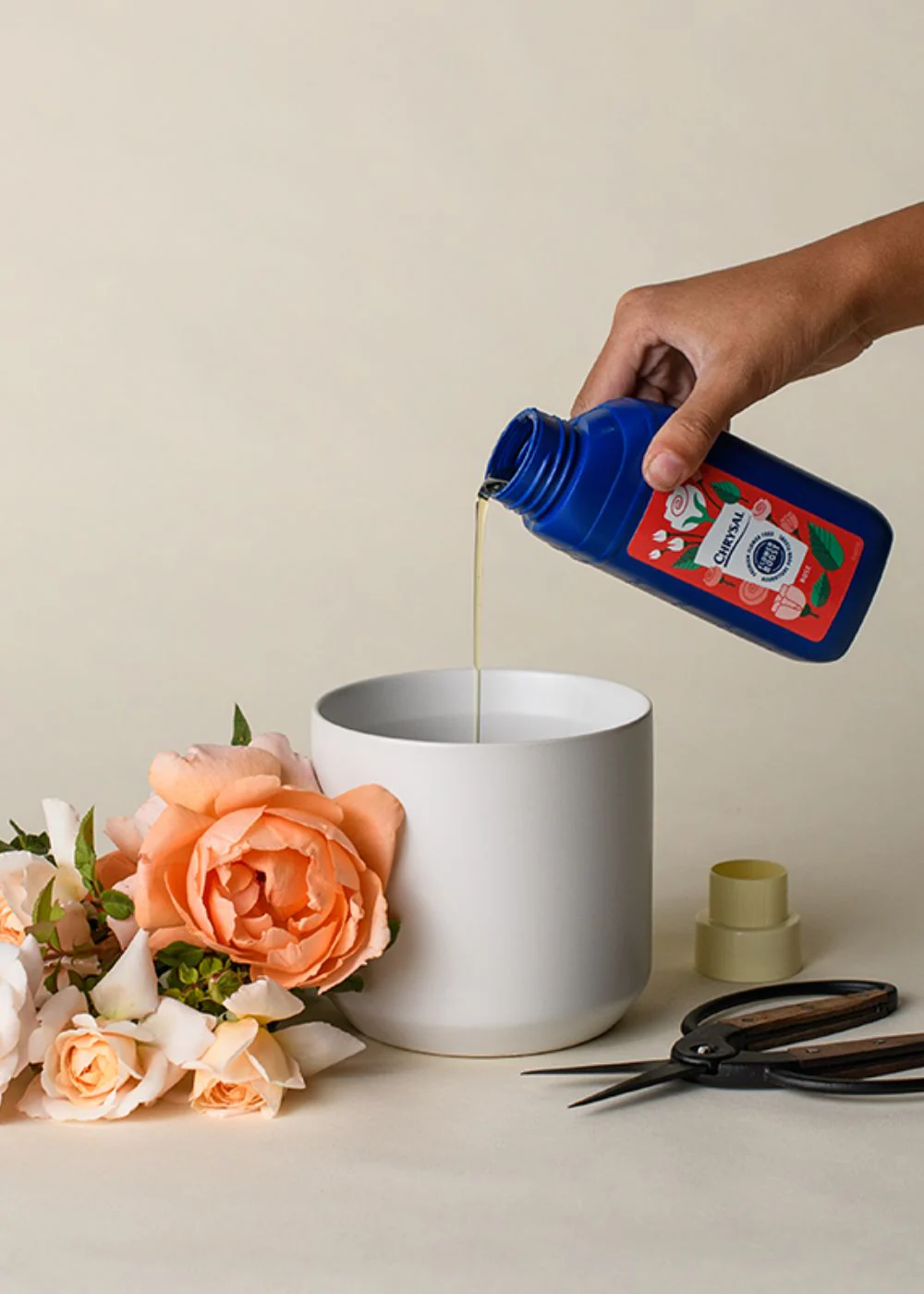 Cut Flower Rose Food Boost - Image 2