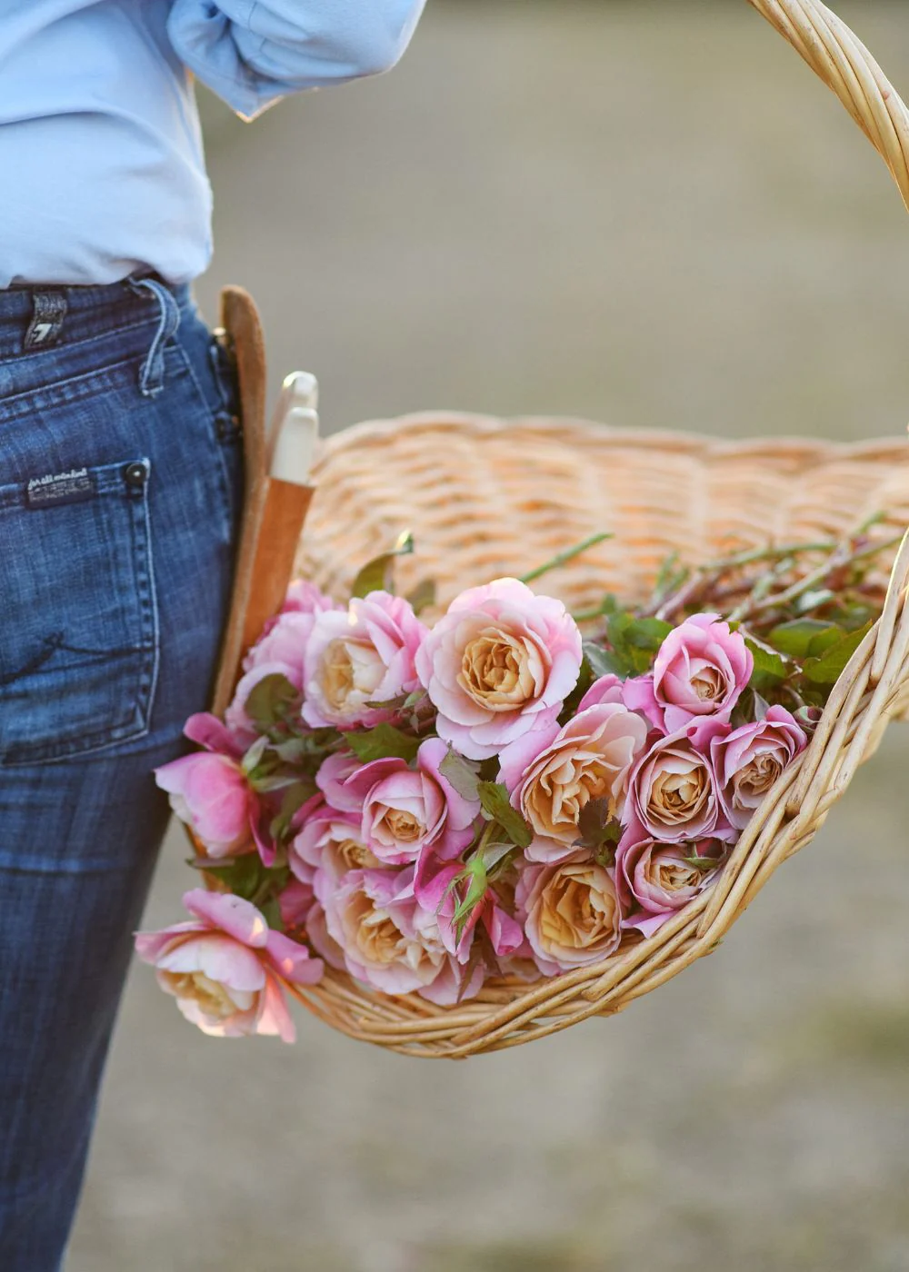 Garden Harvest Basket - Image 4