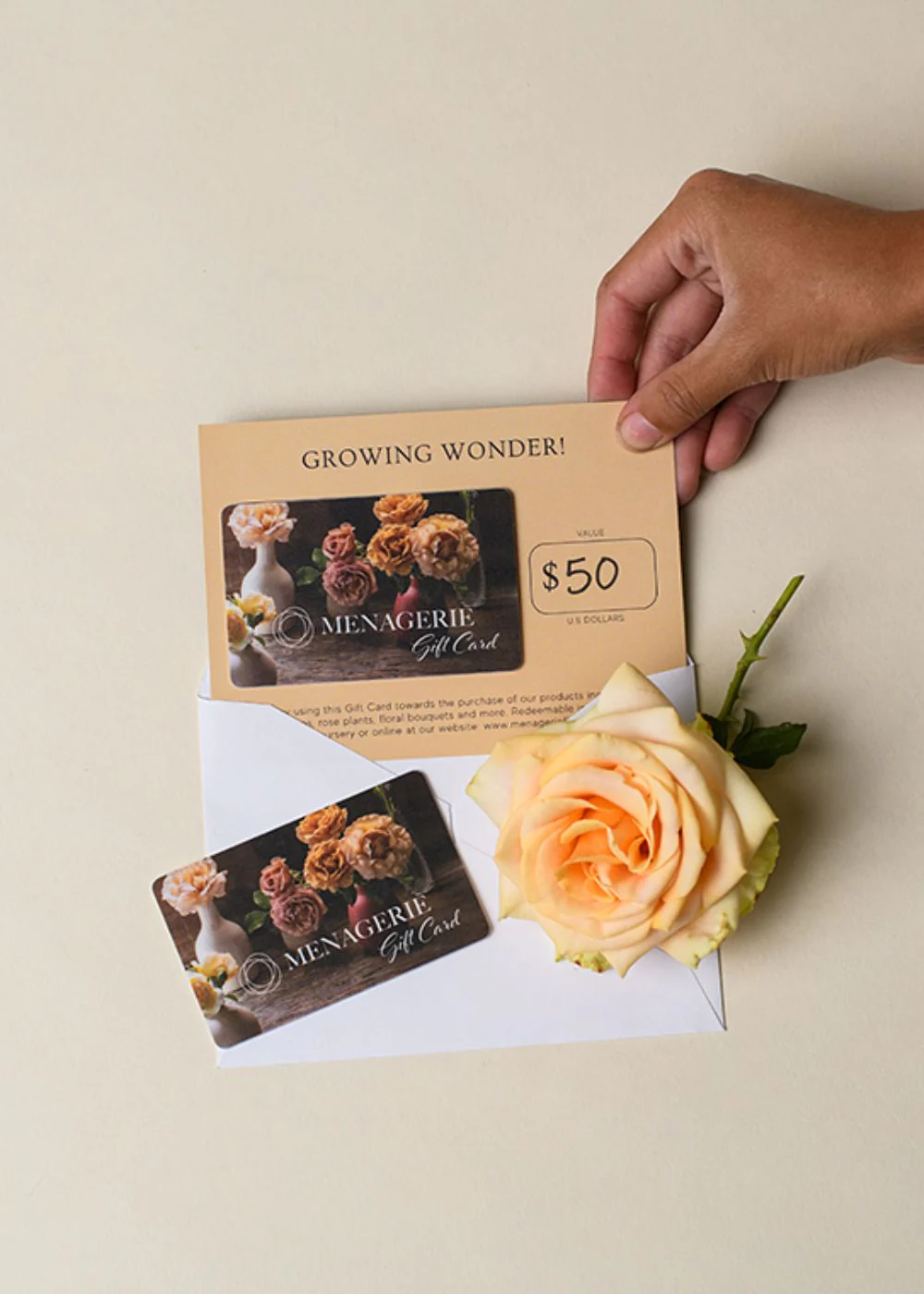 Gift Card - Mailed - Image 3
