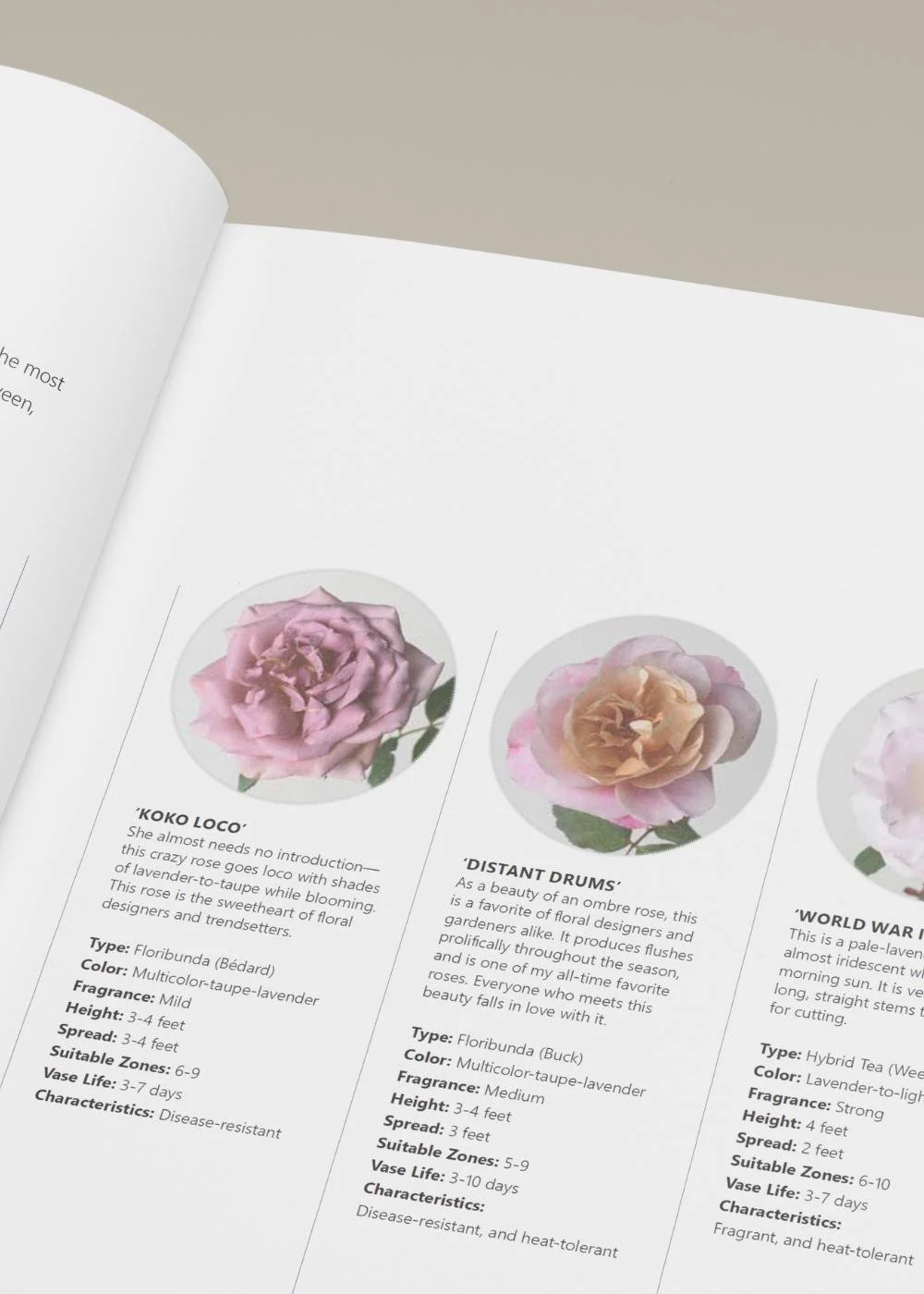 Growing Wonder Book - Image 6