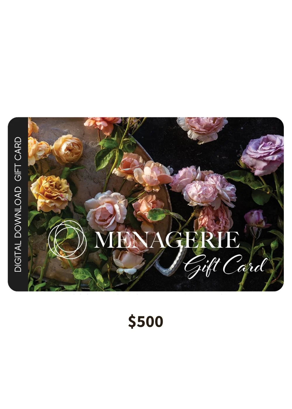 Gift Card - Digital - Image 14